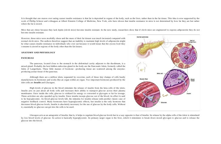 bronchial asthma in acute exacerbation case study scribd bronchial asthma in acute exacerbation case study scribd
